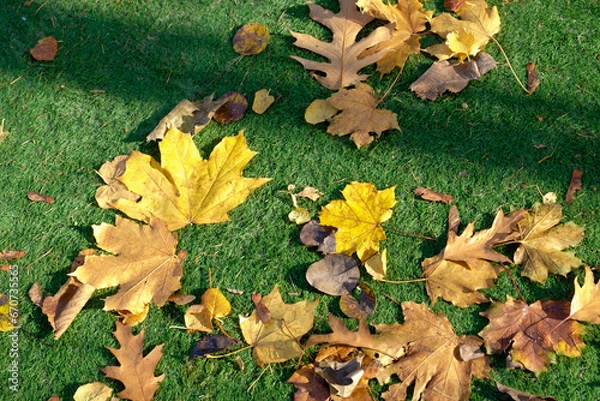 Obraz Autumn fallen leaves on the artificial turf of a football field