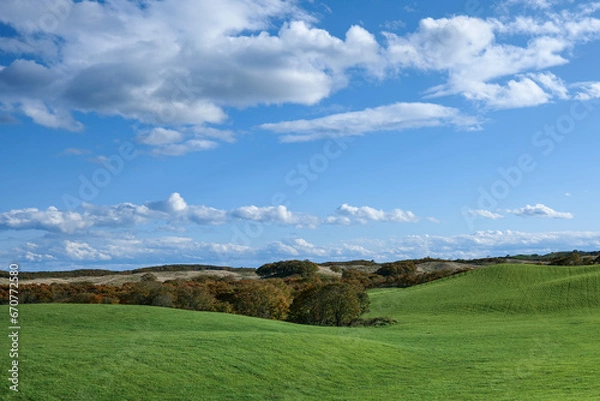 Obraz 弟子屈の広大な牧草地2