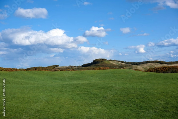 Obraz 弟子屈の広大な牧草地1