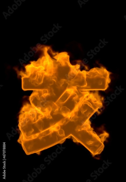 Fototapeta 炎の干支