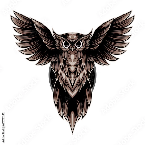 Obraz owl with wings