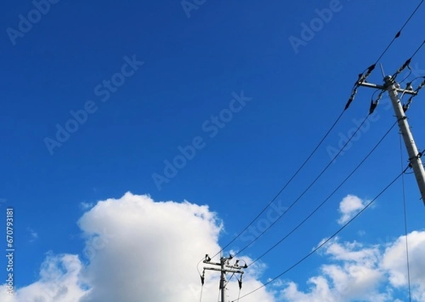 Fototapeta 爽やかな青空　田舎の風景　電柱　電線　穏やかな日