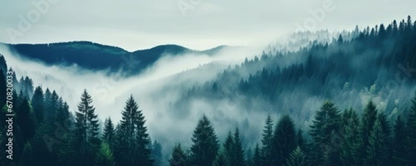 Fototapeta Fog conceals details of mountains with trees inviting greater sense of wonder with mystery. Foggy shroud wrapped around rugged mountains and forest casting veil of secrecy over landscape.