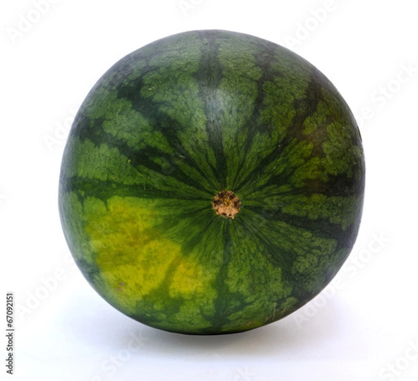 Obraz fresh green watermelon isolated