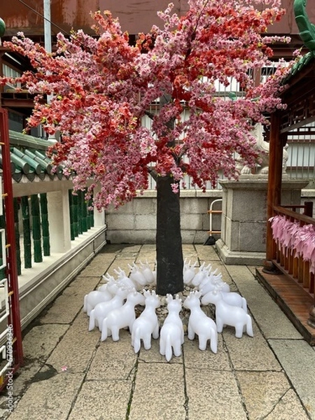 Fototapeta Wen Wu Temple in Hong Kong