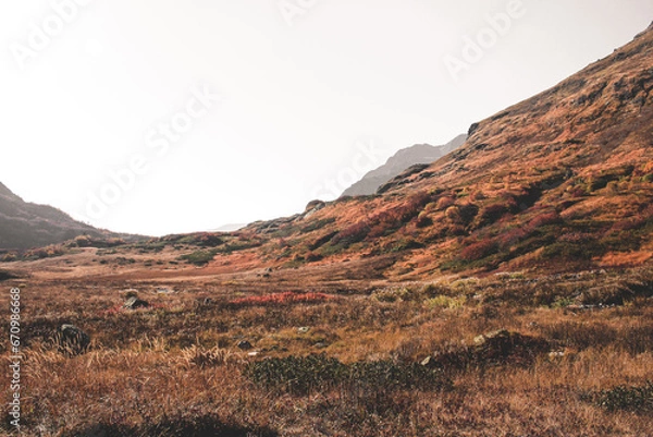Fototapeta bzerpinsky cornice