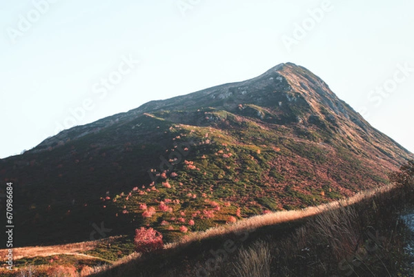 Obraz bzerpinsky cornice