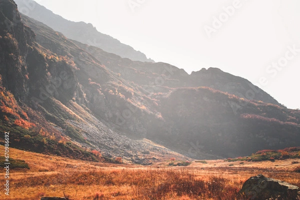 Fototapeta bzerpinsky cornice