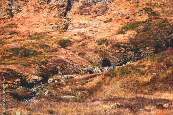 Obraz bzerpinsky cornice