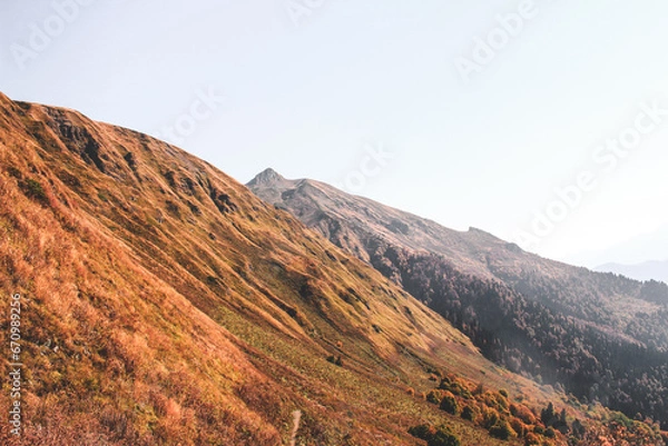 Obraz bzerpinsky cornice