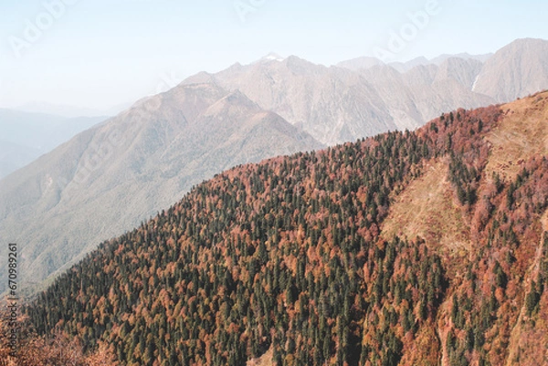 Obraz bzerpinsky cornice