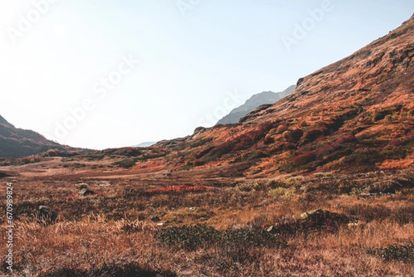 Fototapeta autumn in the mountains