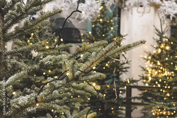 Obraz Christmas tree