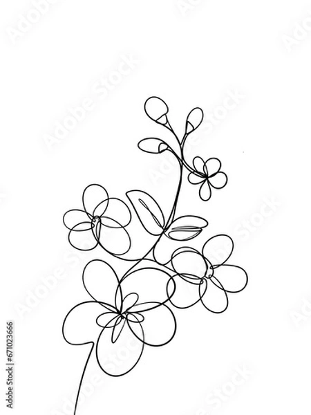 Obraz Hawthorn flowers is hand drawn in continuous line art drawing style.  Printable art.