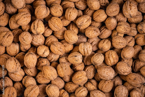 Obraz Unshelled, dried walnuts in their shells fill the frame completely. top view