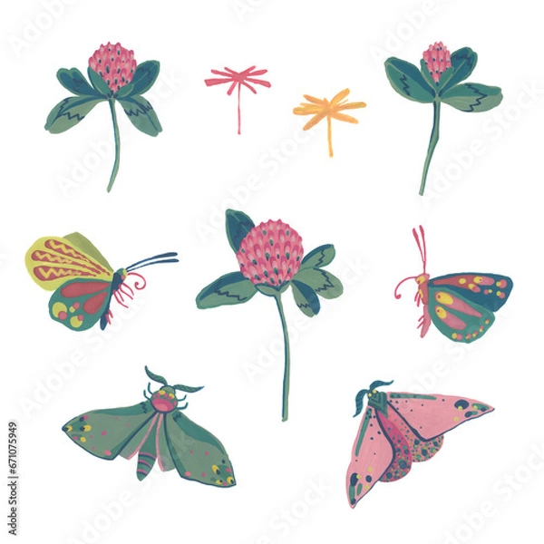Fototapeta Flower, petals and leaves of clover.Butterflies. Gouache illustration. Isolated objects on a white background.