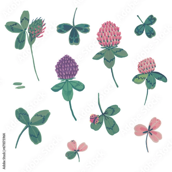 Fototapeta Clover flower, petals and leaves. Gouache illustration. Isolated objects on a white background.