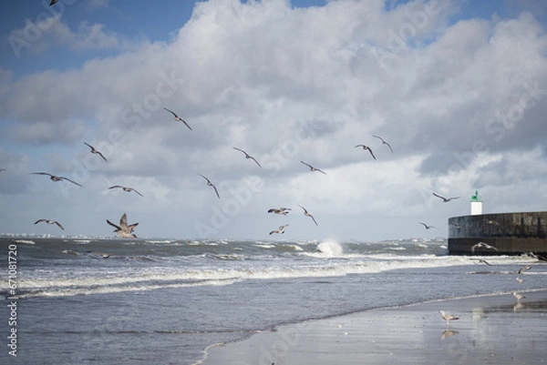 Obraz Tharon Plage avant la tempête