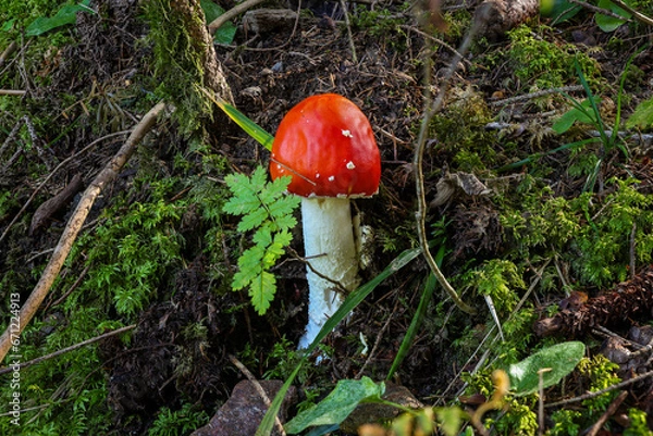 Obraz Südtirol 2023
