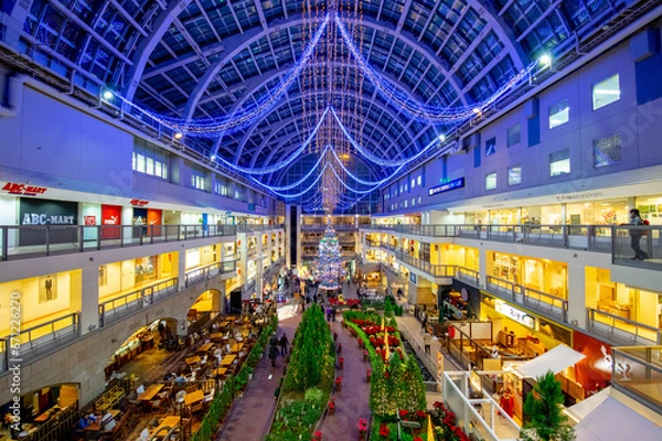 Fototapeta クリスマスツリー（北海道札幌市）