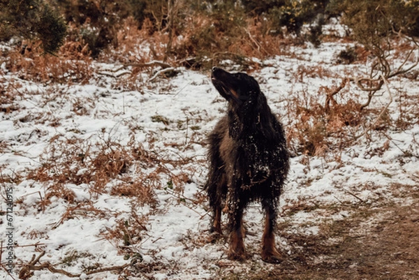 Obraz La Rhune enneigée 
