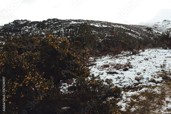 Obraz La Rhune enneigée 