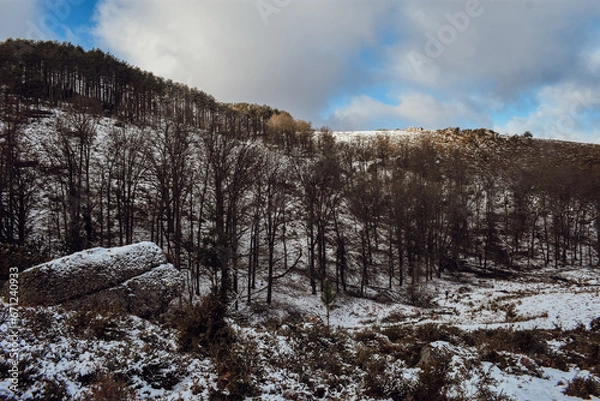 Obraz La Rhune enneigée 