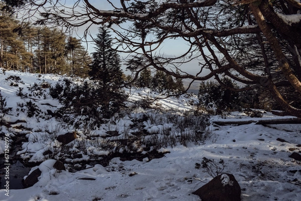 Obraz La Rhune enneigée 