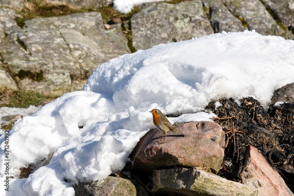 Obraz La Rhune enneigée 