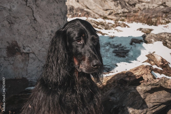 Obraz La Rhune enneigée 