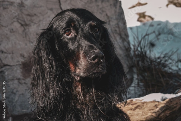 Obraz La Rhune enneigée 