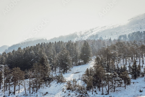 Obraz La Rhune enneigée 