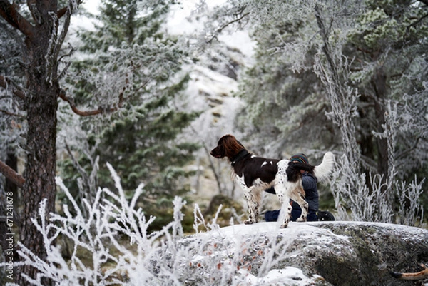 Obraz Winterlandscape