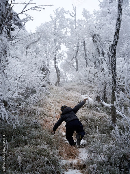 Obraz Winterlandscape