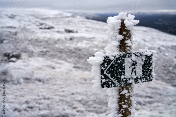 Obraz Winterlandscape