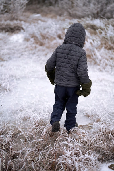 Obraz Winterlandscape