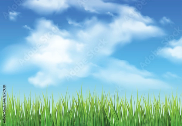 Obraz Blue sky with clouds ans grass, nature background. Vector illustrator.