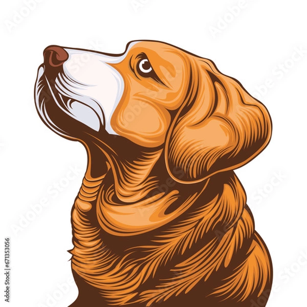 Obraz Beagle dog head vector illustration Isolated on white background