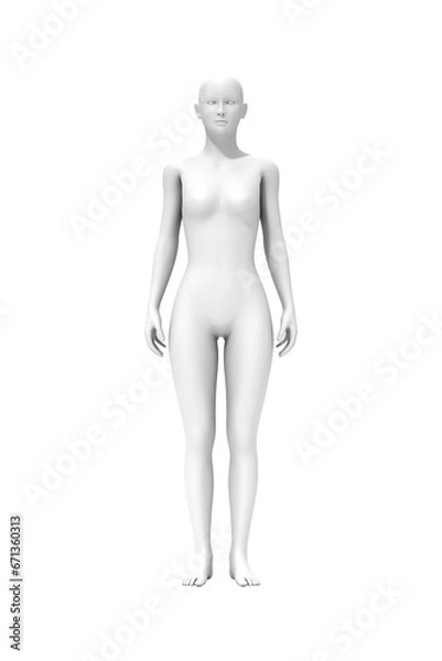 Fototapeta Woman standing, 3D computer graphic image of human body