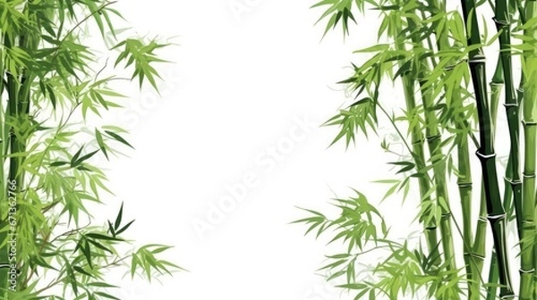 Obraz Bamboo tree on white background for decoration of art frame,wallpaper,card and banner.