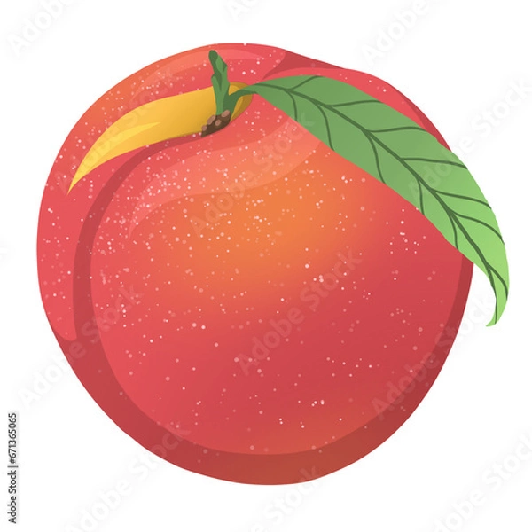 Obraz Peach 