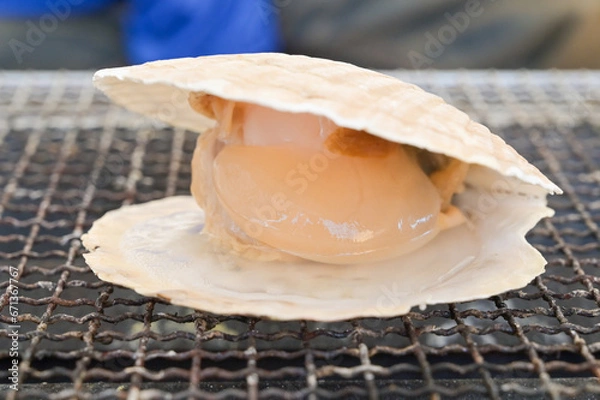 Fototapeta ホタテ貝の網焼きバーベキュー