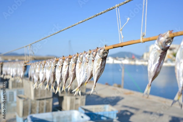 Obraz 魚の干物が青空と海を背景に漁港で作られている様子