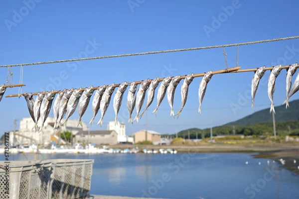 Obraz 魚の干物が青空と海を背景に漁港で作られている様子