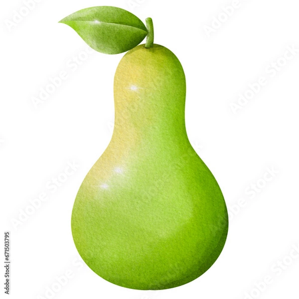 Obraz pear isolated on white background