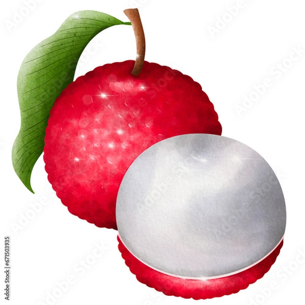 Obraz lyche isolated