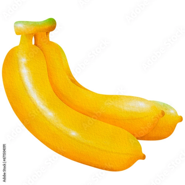 Obraz banana isolated