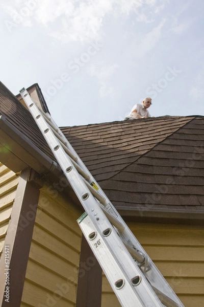 Obraz roof inspector