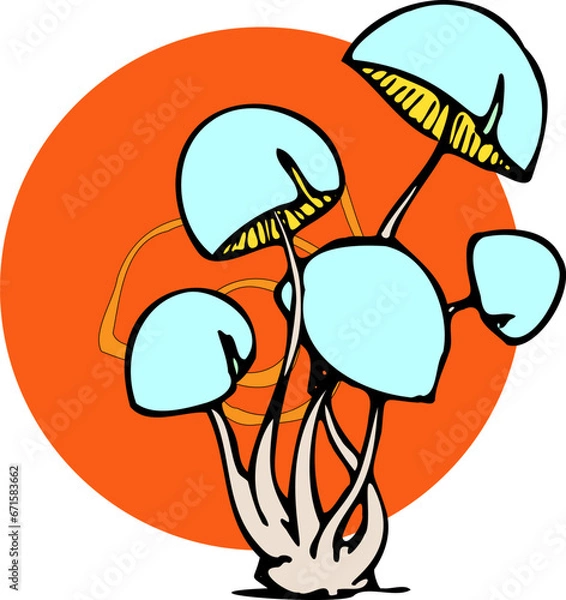 Fototapeta mushrooms