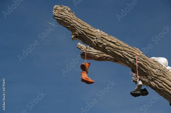 Obraz Shoe tree